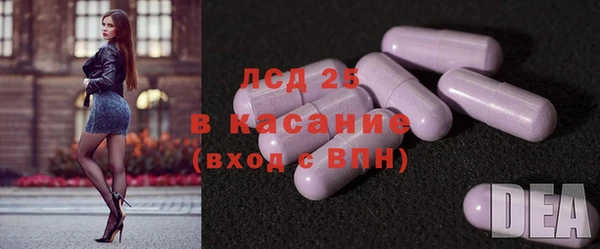 мяу мяу мука Аркадак