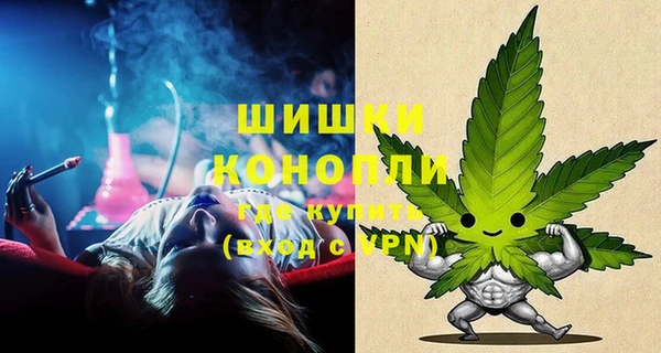 мяу мяу мука Аркадак