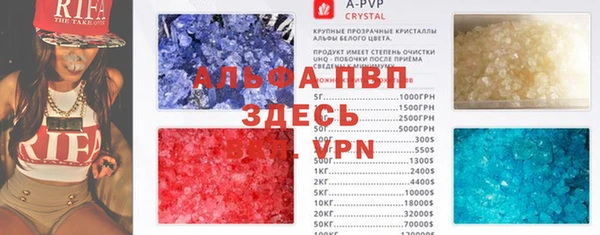 PSILOCYBIN Армянск